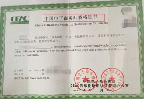 电子商务专业能考哪些证